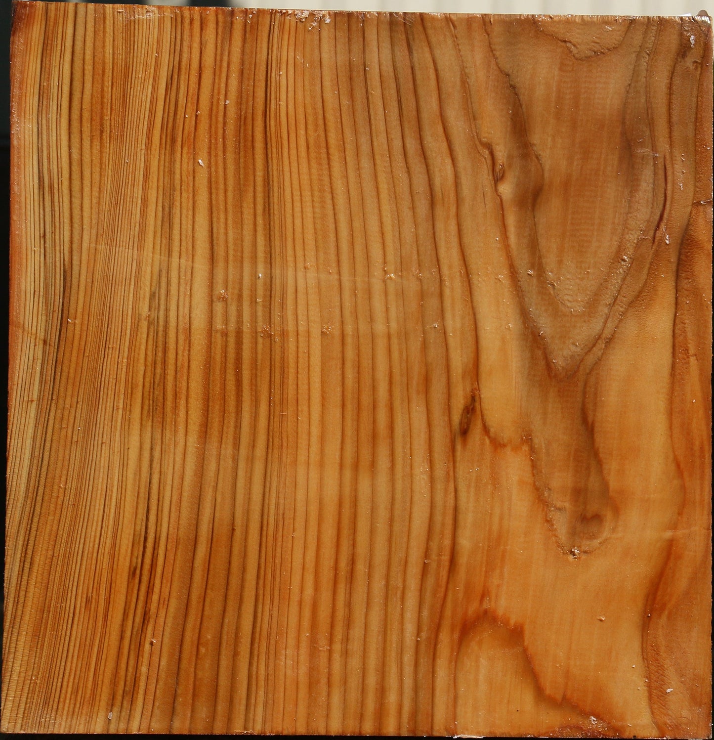 Cedar Of Lebanon Bowl Blank