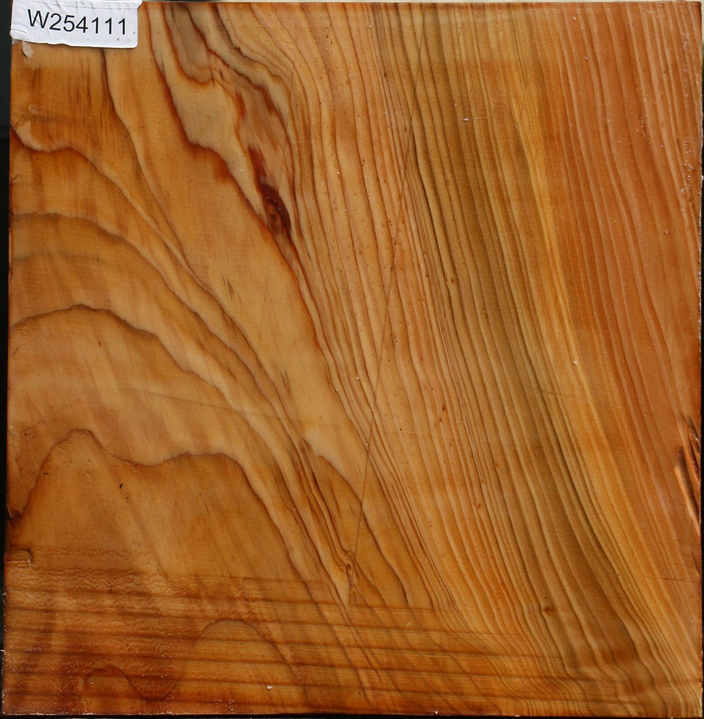 Cedar Of Lebanon Bowl Blank
