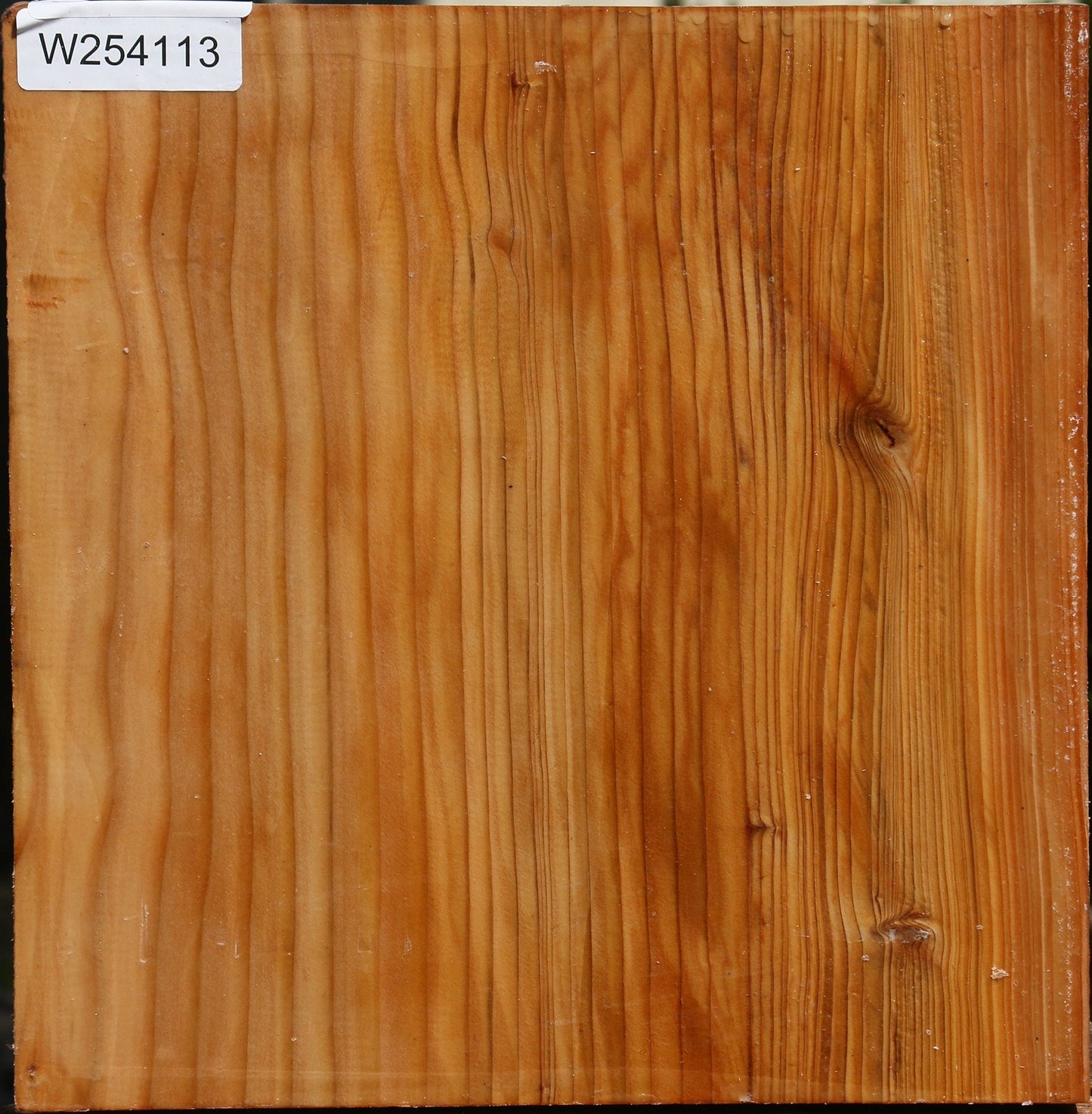 Cedar Of Lebanon Bowl Blank