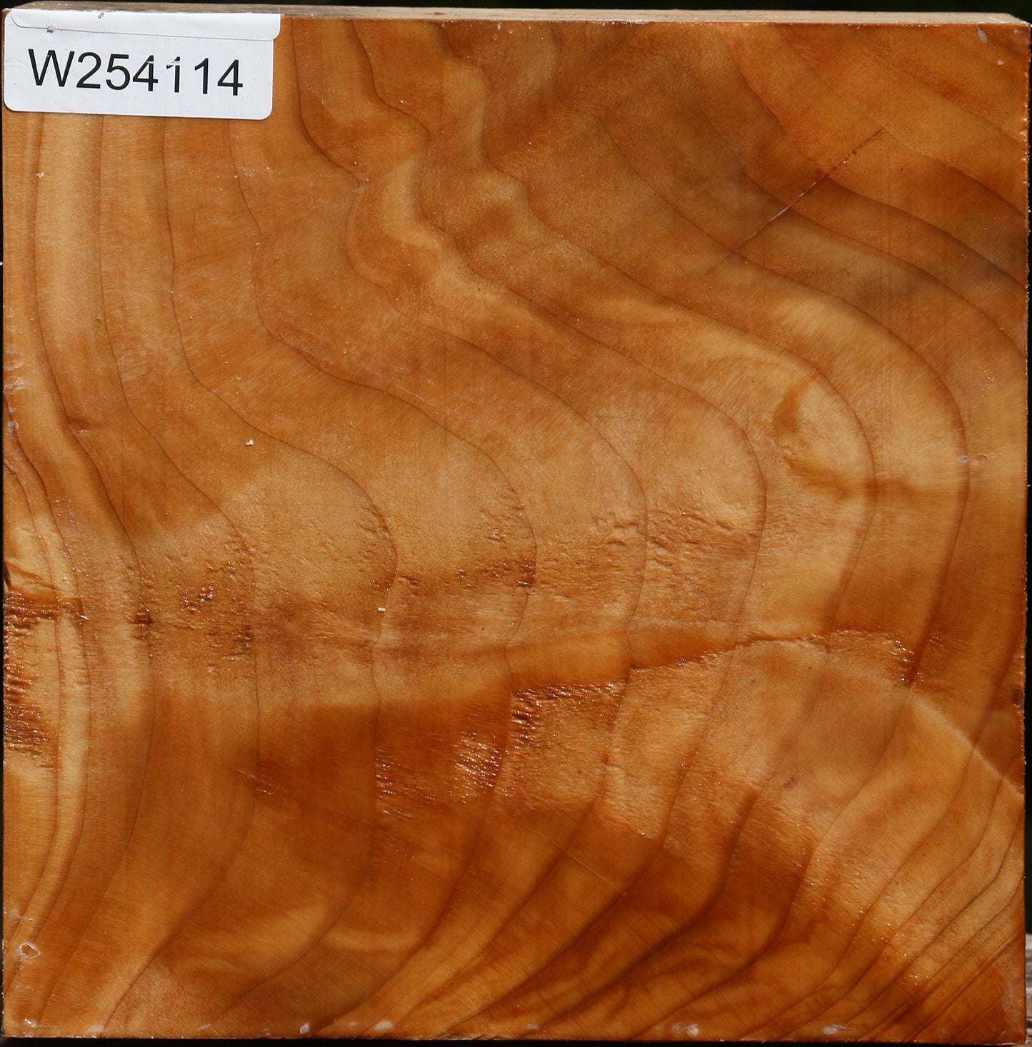Figured Cedar Of Lebanon Bowl Blank