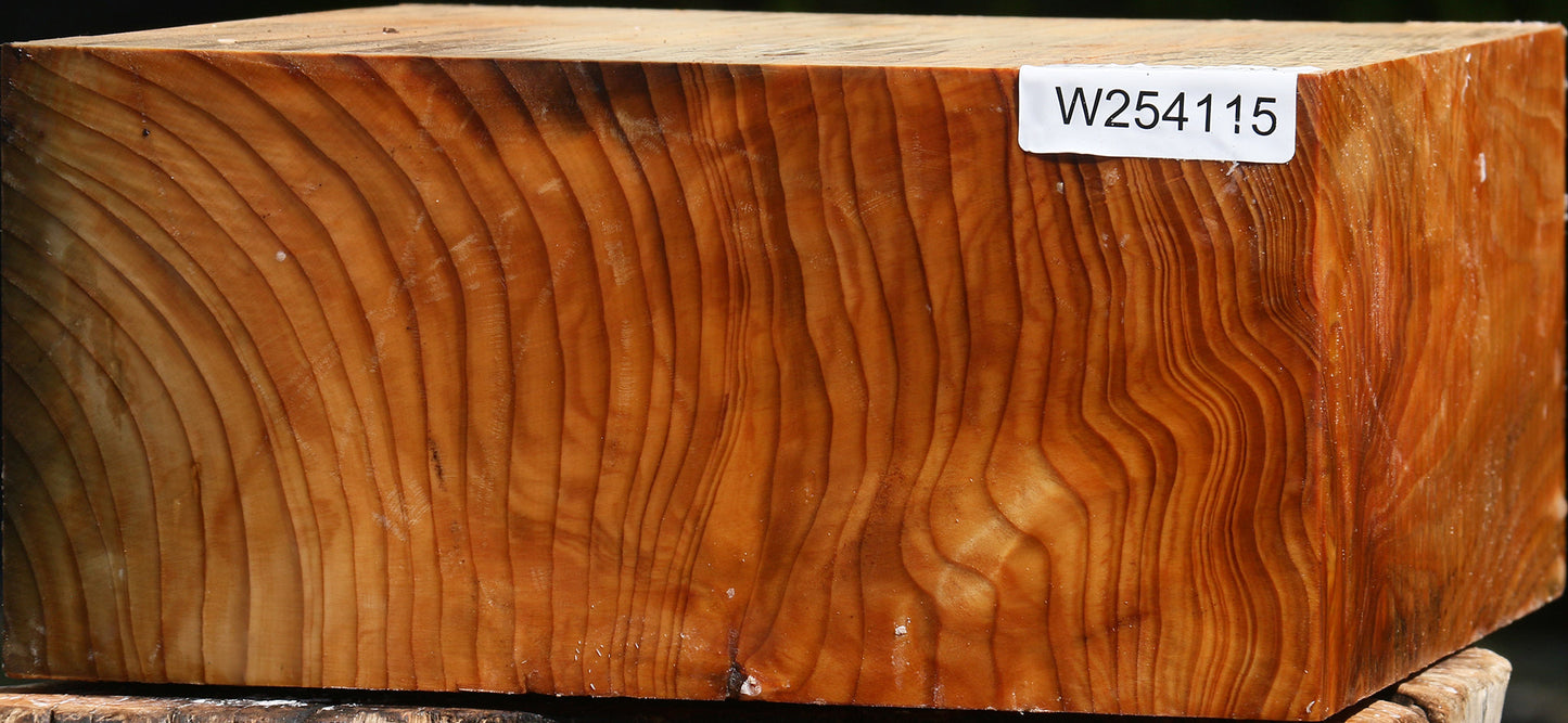 Cedar Of Lebanon Bowl Blank