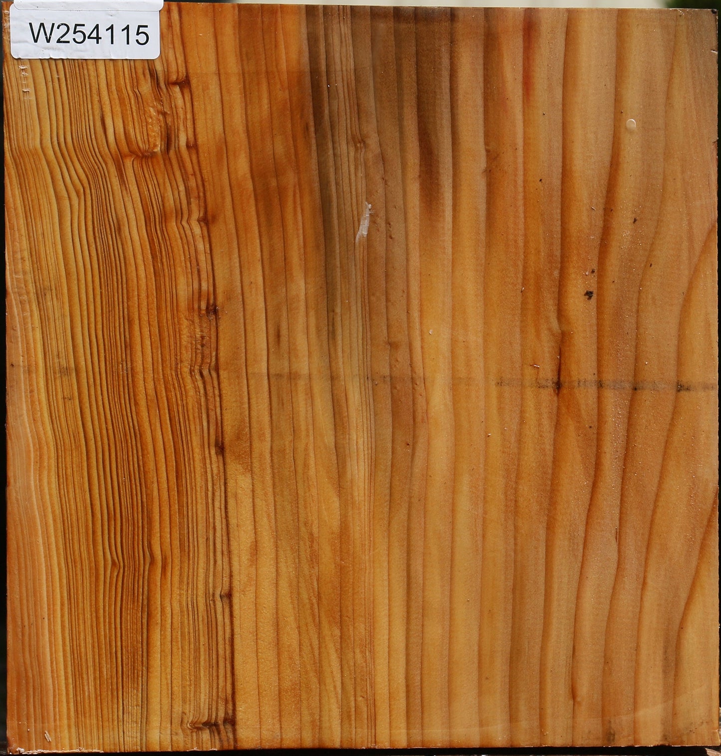Cedar Of Lebanon Bowl Blank