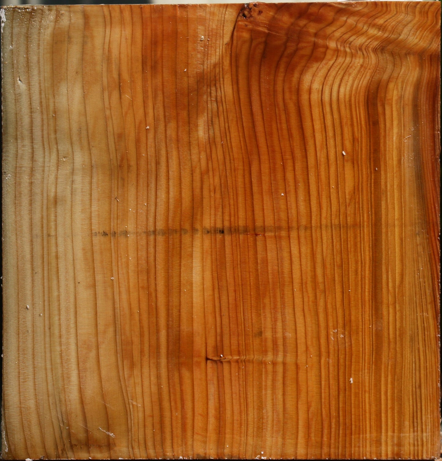 Cedar Of Lebanon Bowl Blank