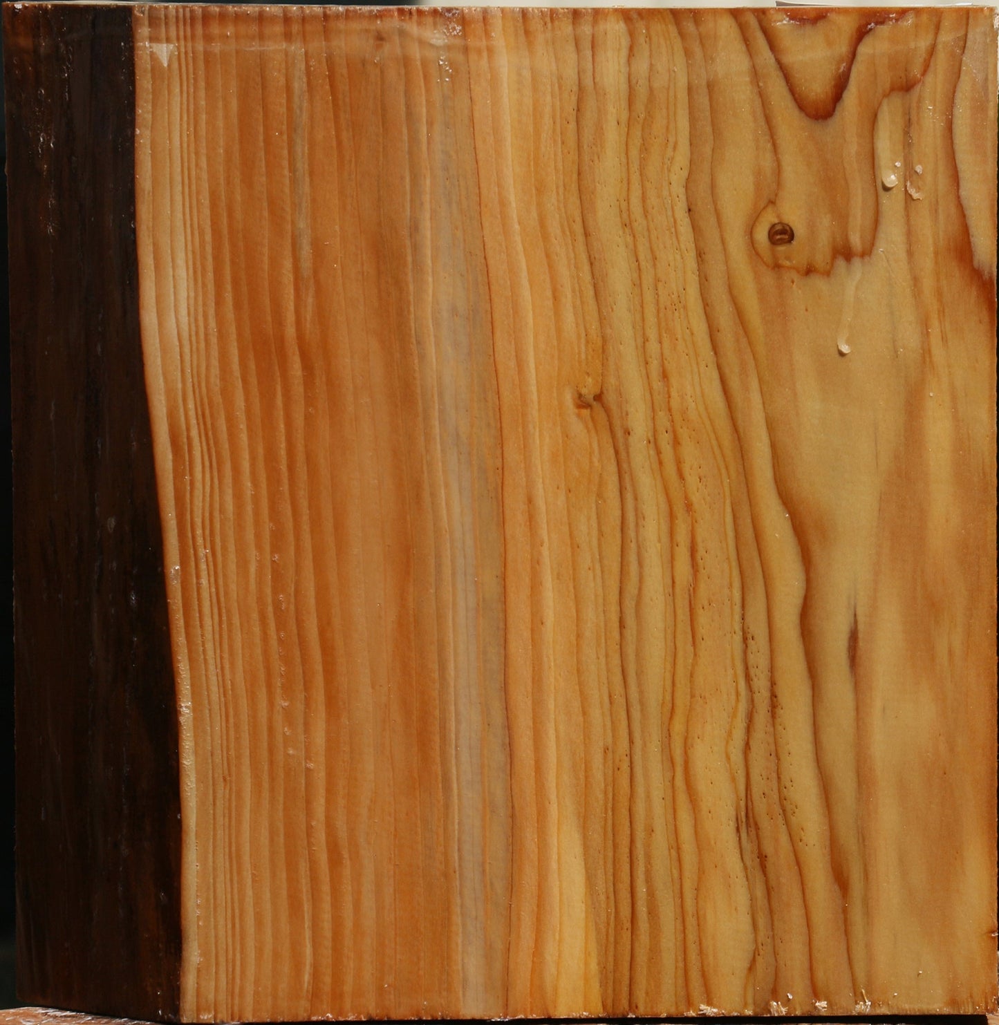 Cedar Of Lebanon Bowl Blank