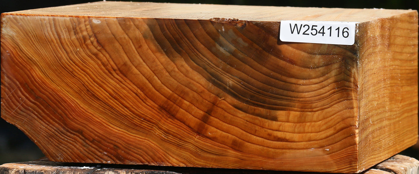Cedar Of Lebanon Bowl Blank