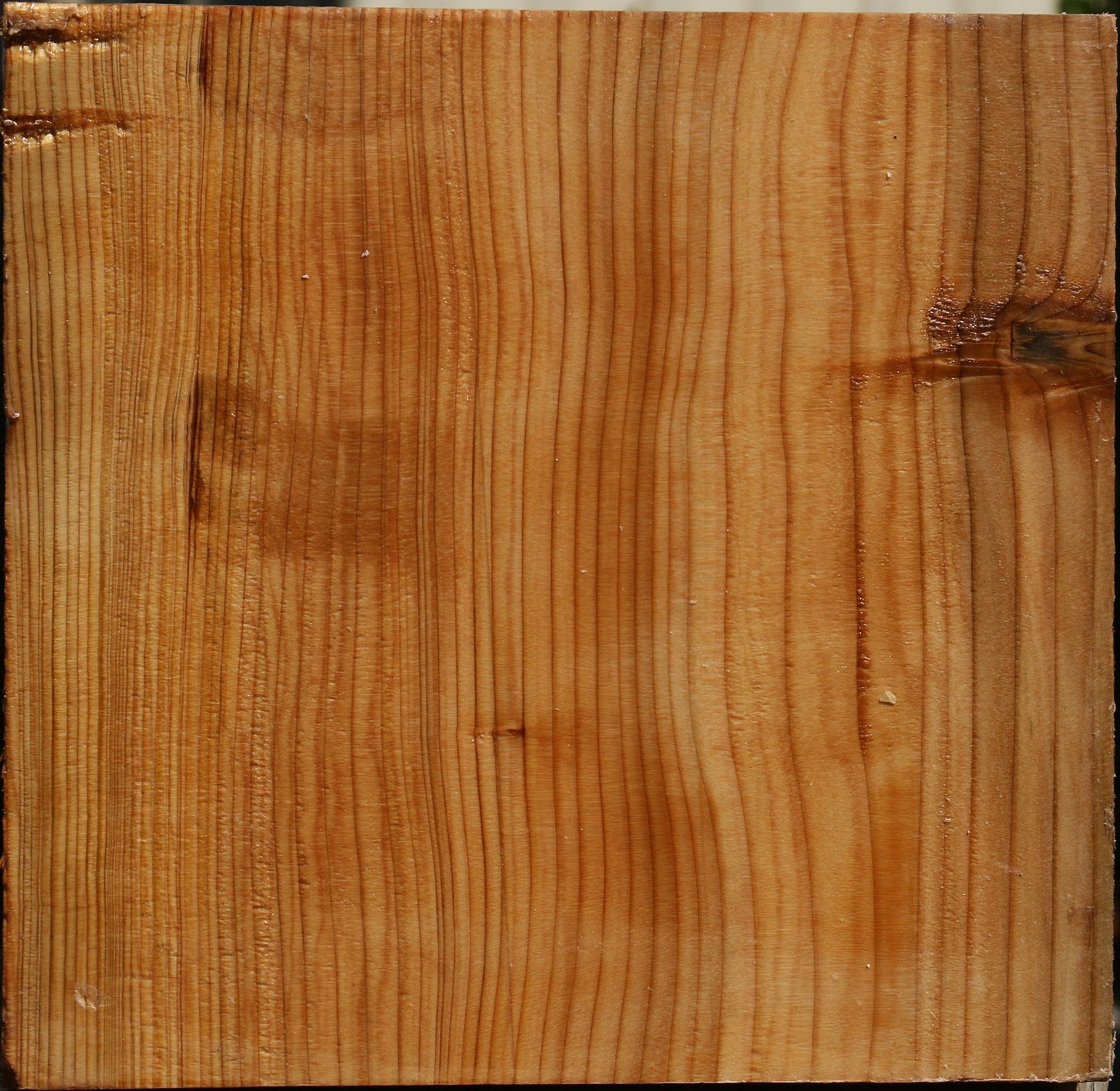 Cedar Of Lebanon Bowl Blank