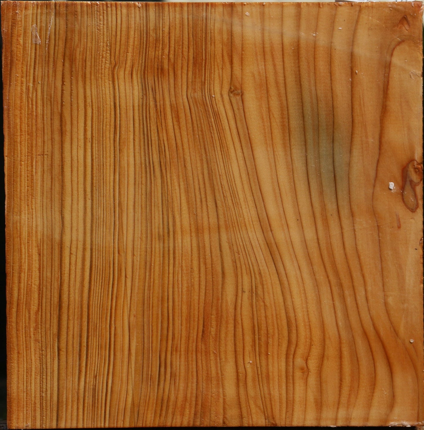 Cedar Of Lebanon Bowl Blank