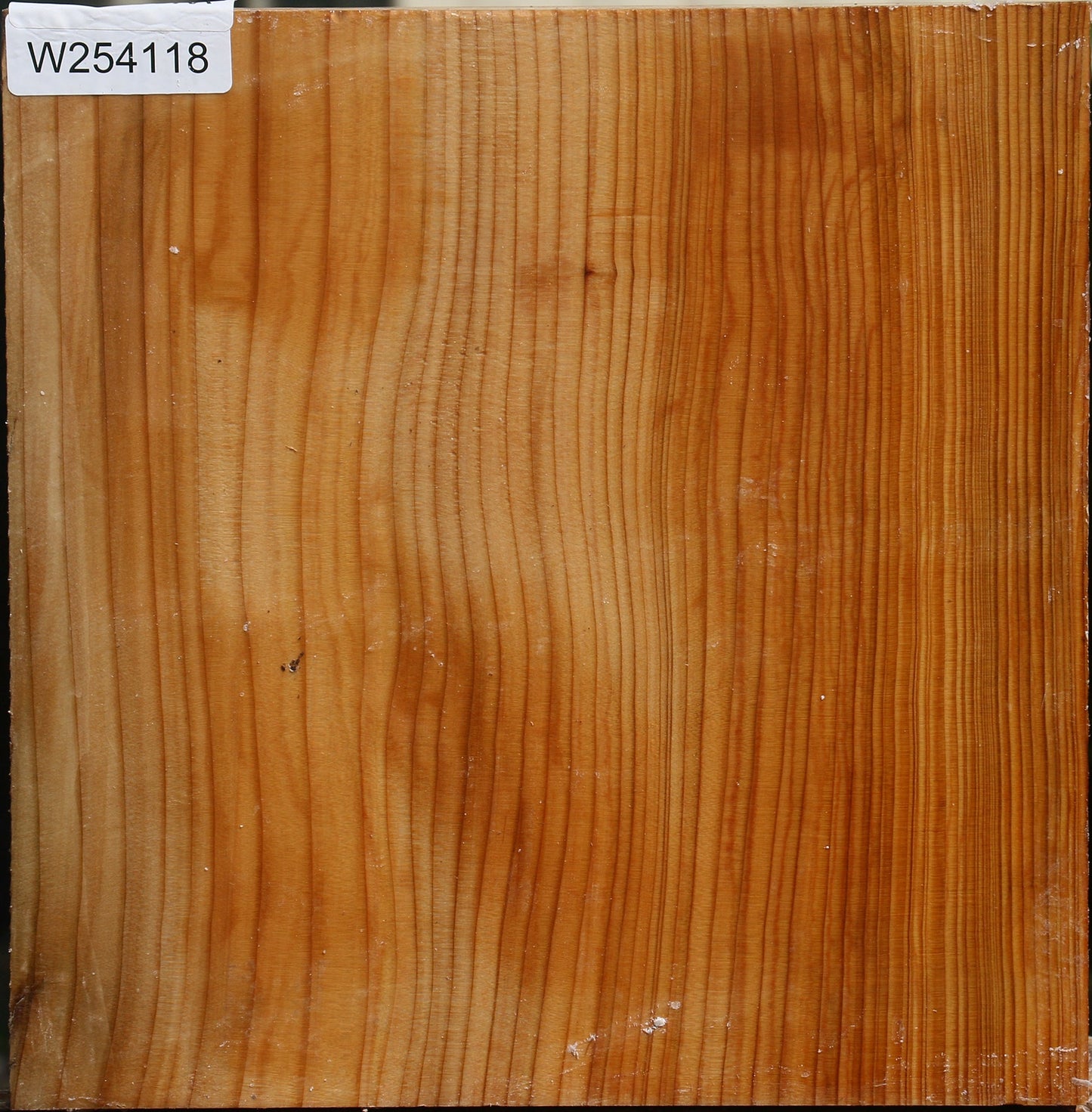 Cedar Of Lebanon Bowl Blank