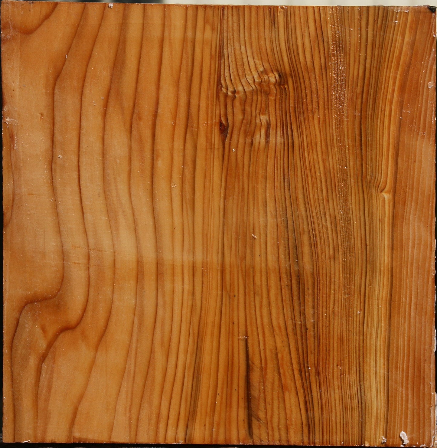 Cedar Of Lebanon Bowl Blank