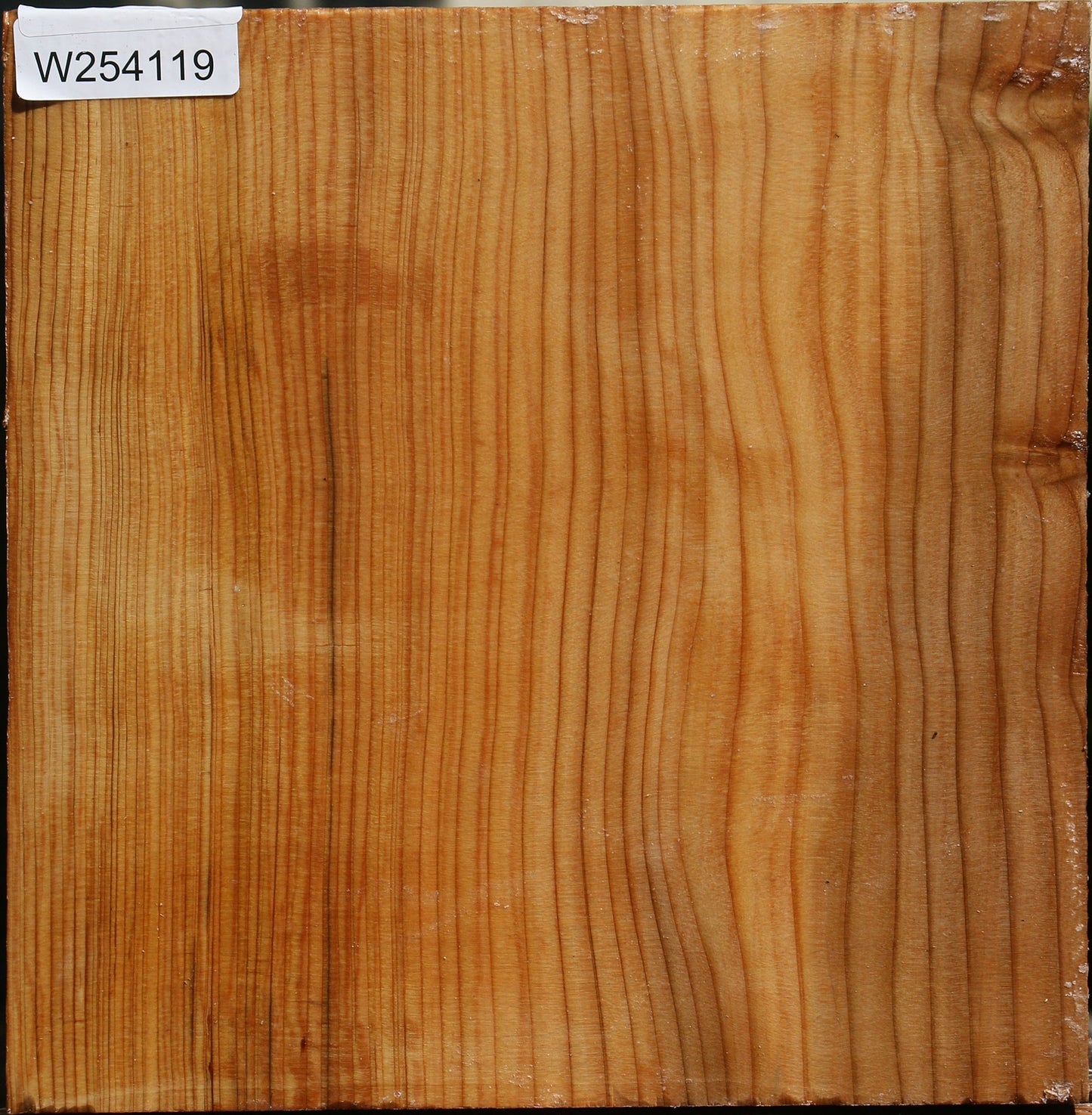 Cedar Of Lebanon Bowl Blank