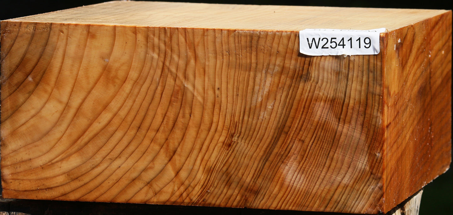 Cedar Of Lebanon Bowl Blank