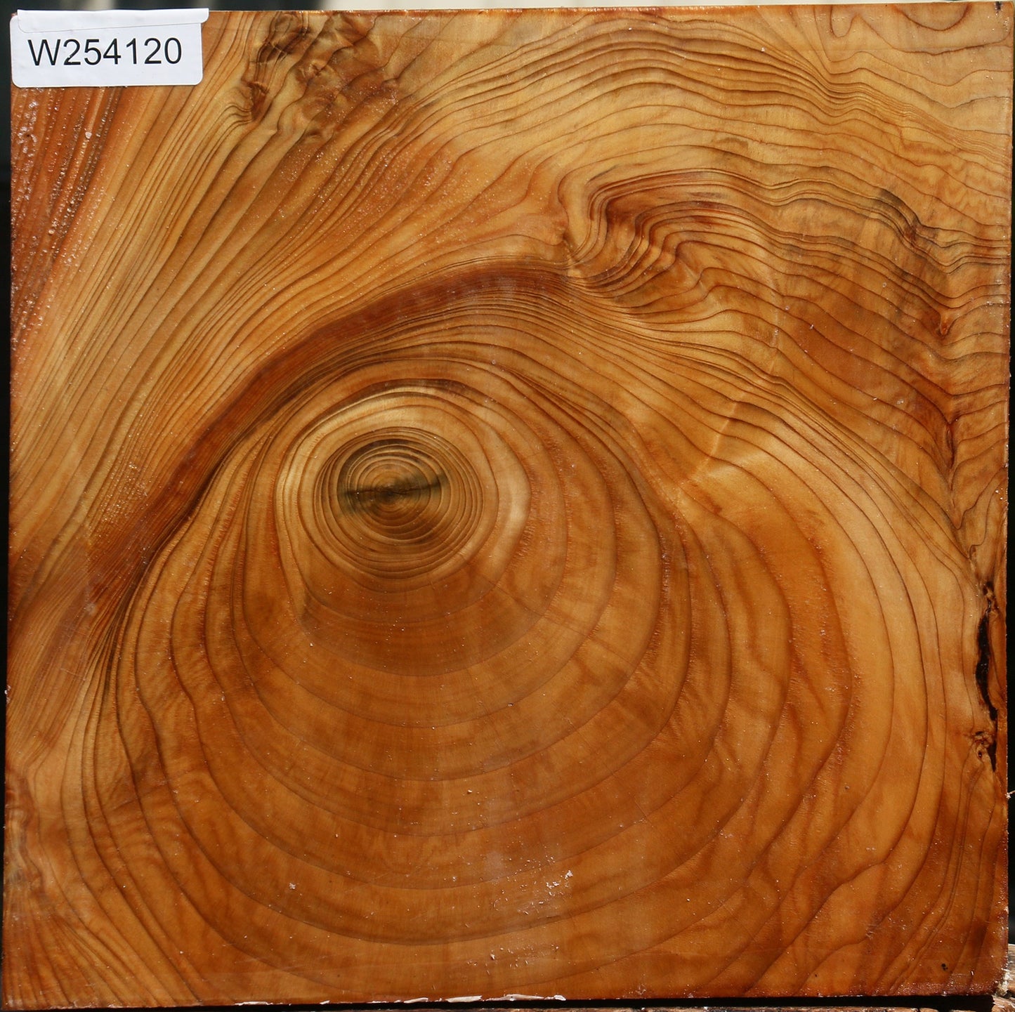 Figured Cedar Of Lebanon Bowl Blank