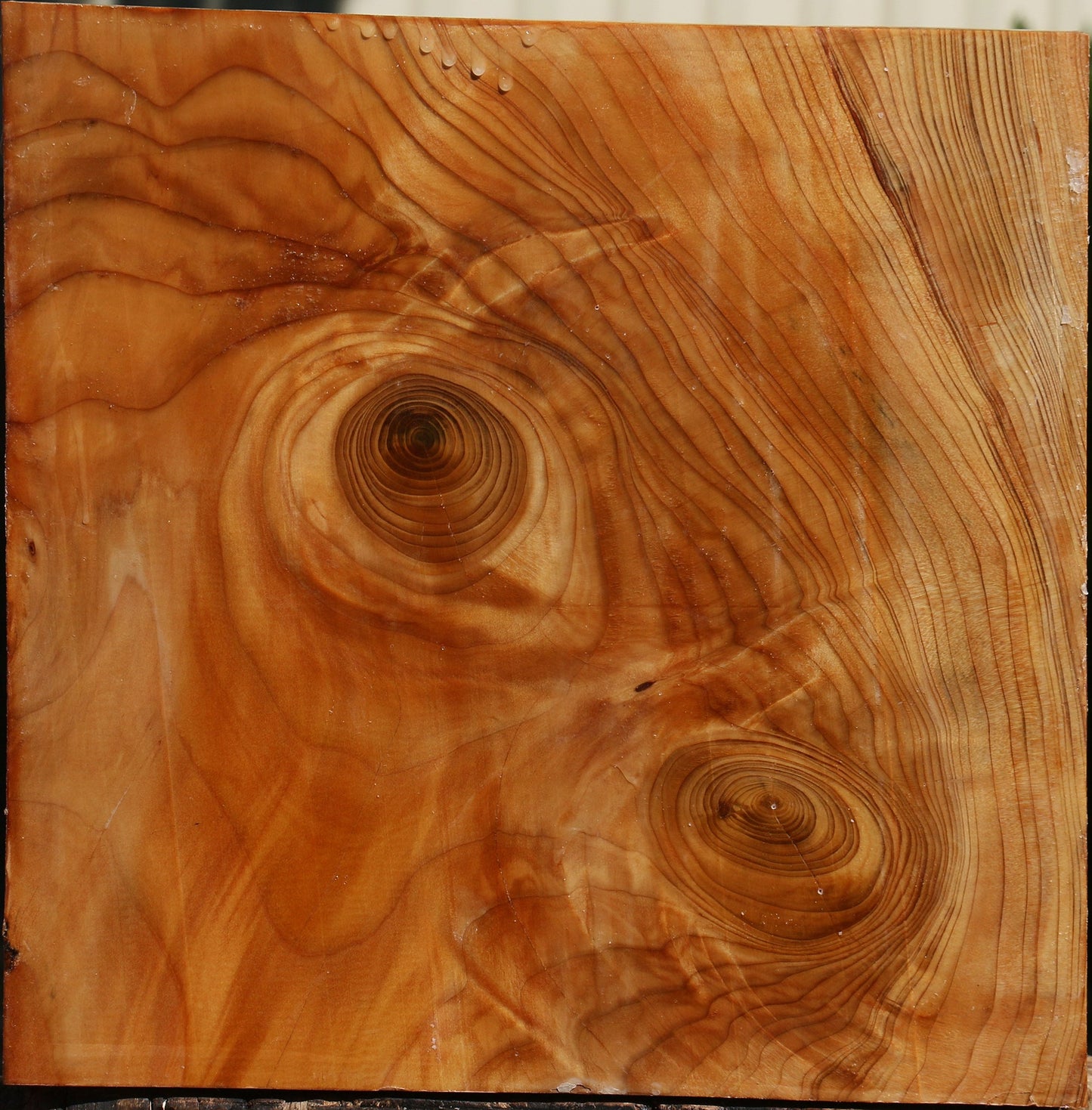 Figured Cedar Of Lebanon Bowl Blank