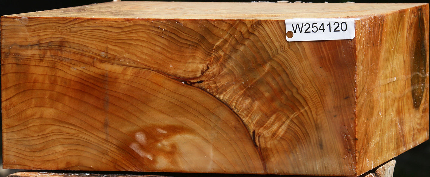 Figured Cedar Of Lebanon Bowl Blank