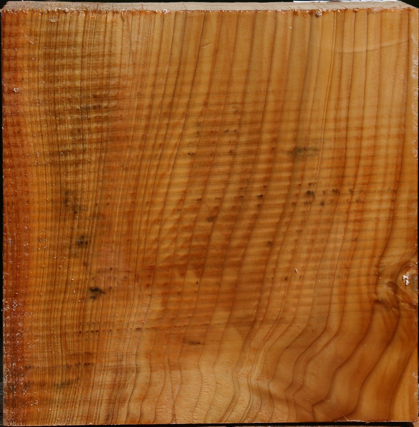 Figured Cedar Of Lebanon Bowl Blank