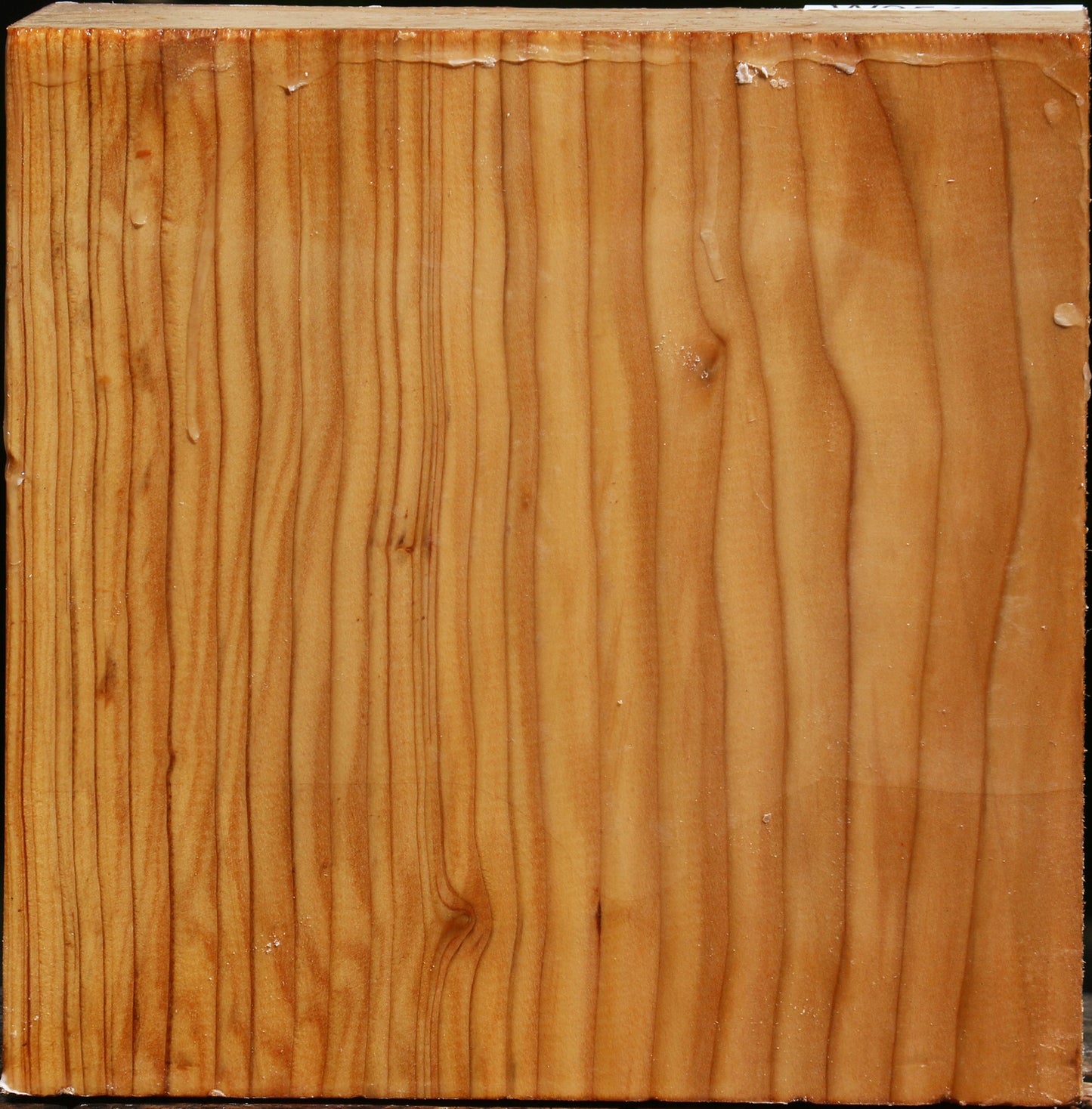 Cedar Of Lebanon Bowl Blank