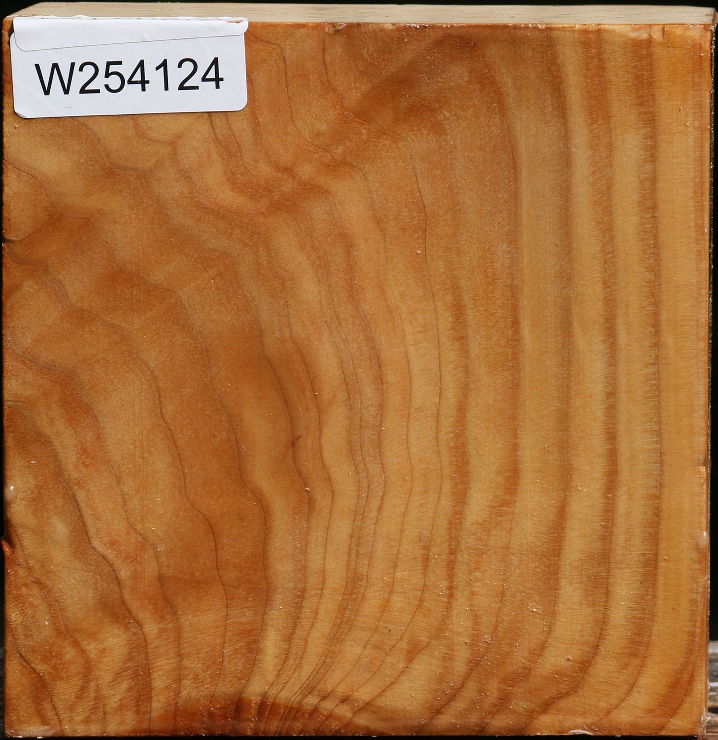 Figured Cedar Of Lebanon Bowl Blank