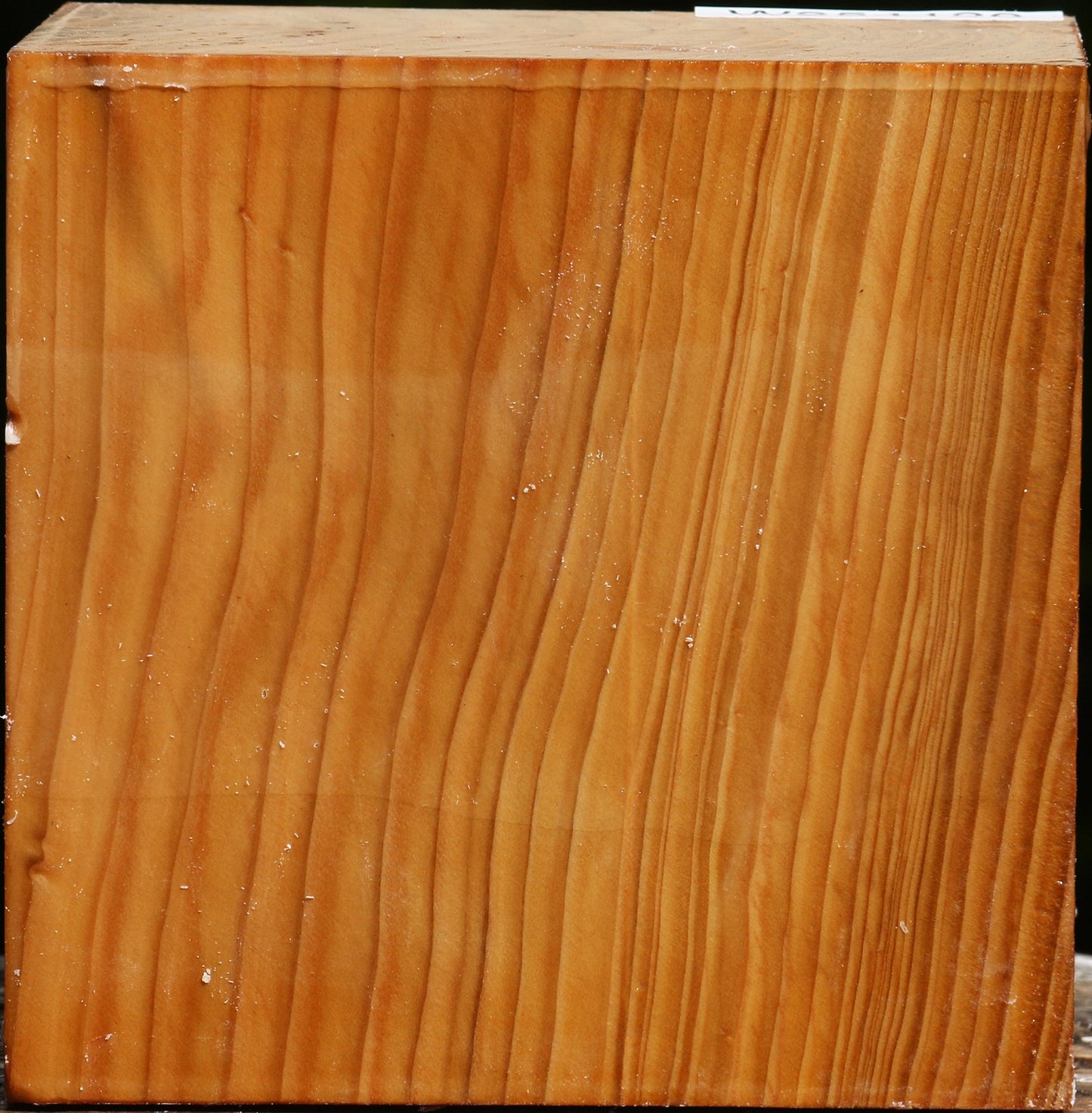 Cedar Of Lebanon Bowl Blank