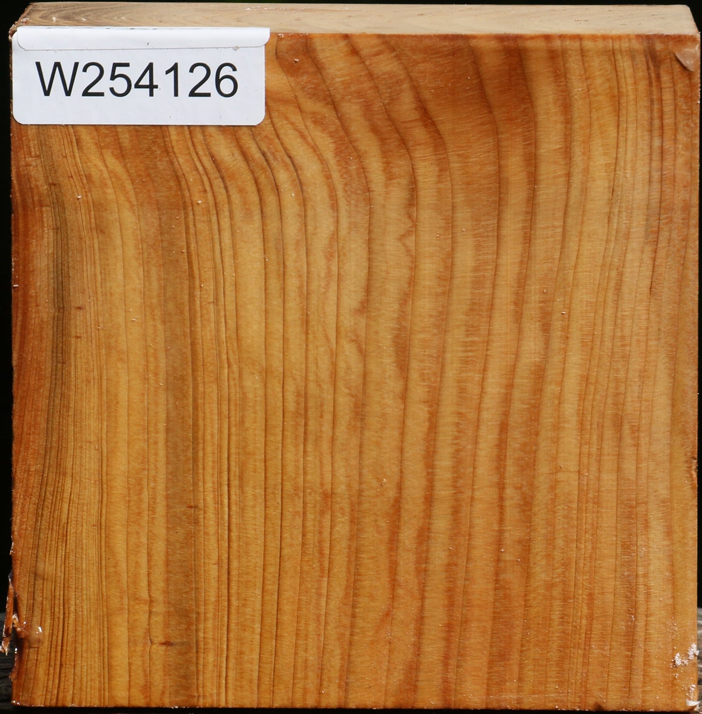 Cedar Of Lebanon Bowl Blank