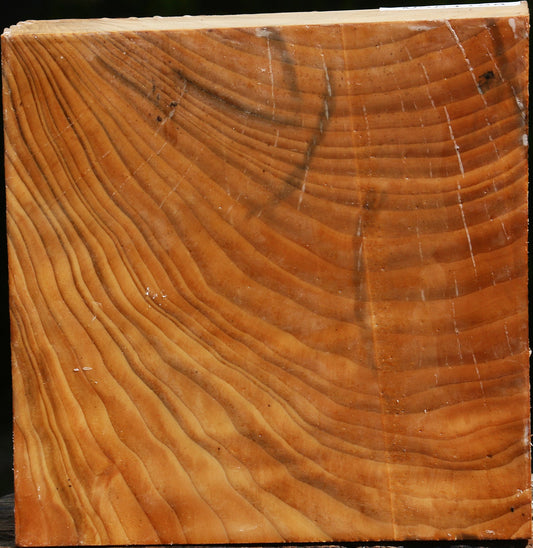 Cedar Of Lebanon Bowl Blank