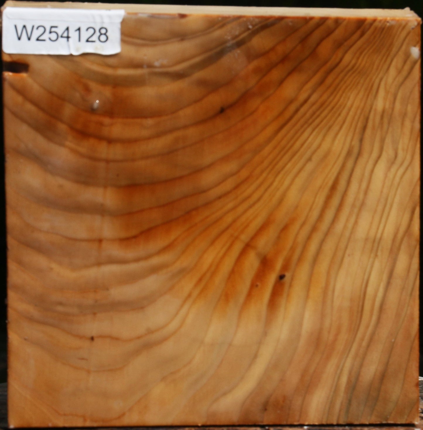Cedar Of Lebanon Bowl Blank
