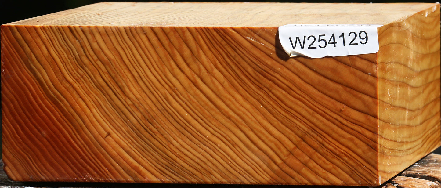 Cedar Of Lebanon Bowl Blank