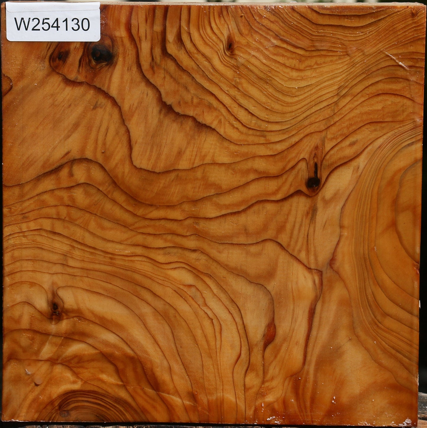 Figured Cedar Of Lebanon Bowl Blank
