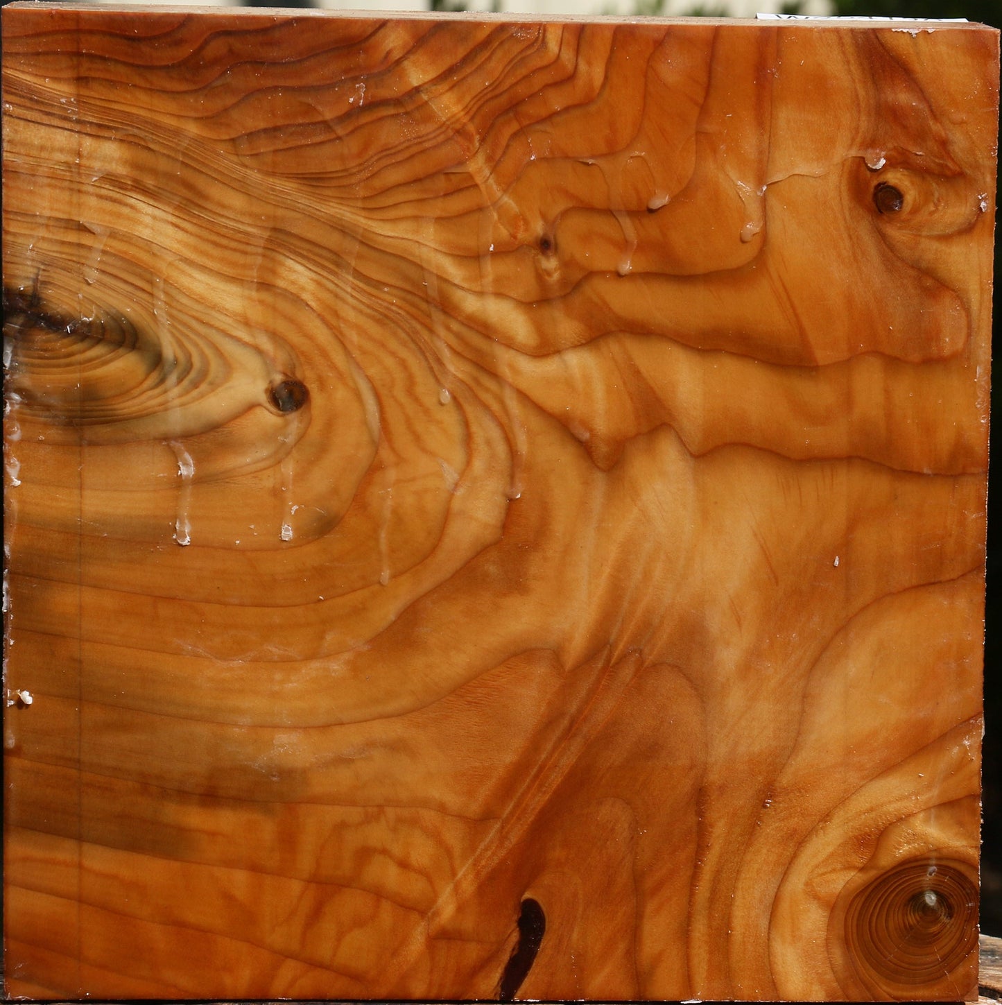 Figured Cedar Of Lebanon Bowl Blank