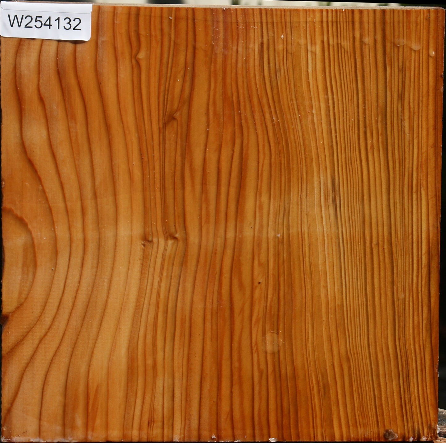 Cedar Of Lebanon Bowl Blank
