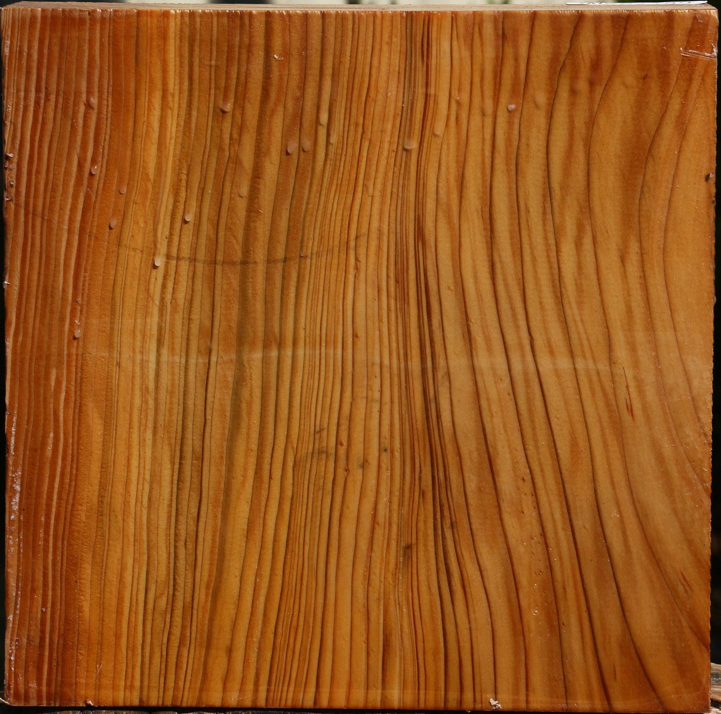 Cedar Of Lebanon Bowl Blank