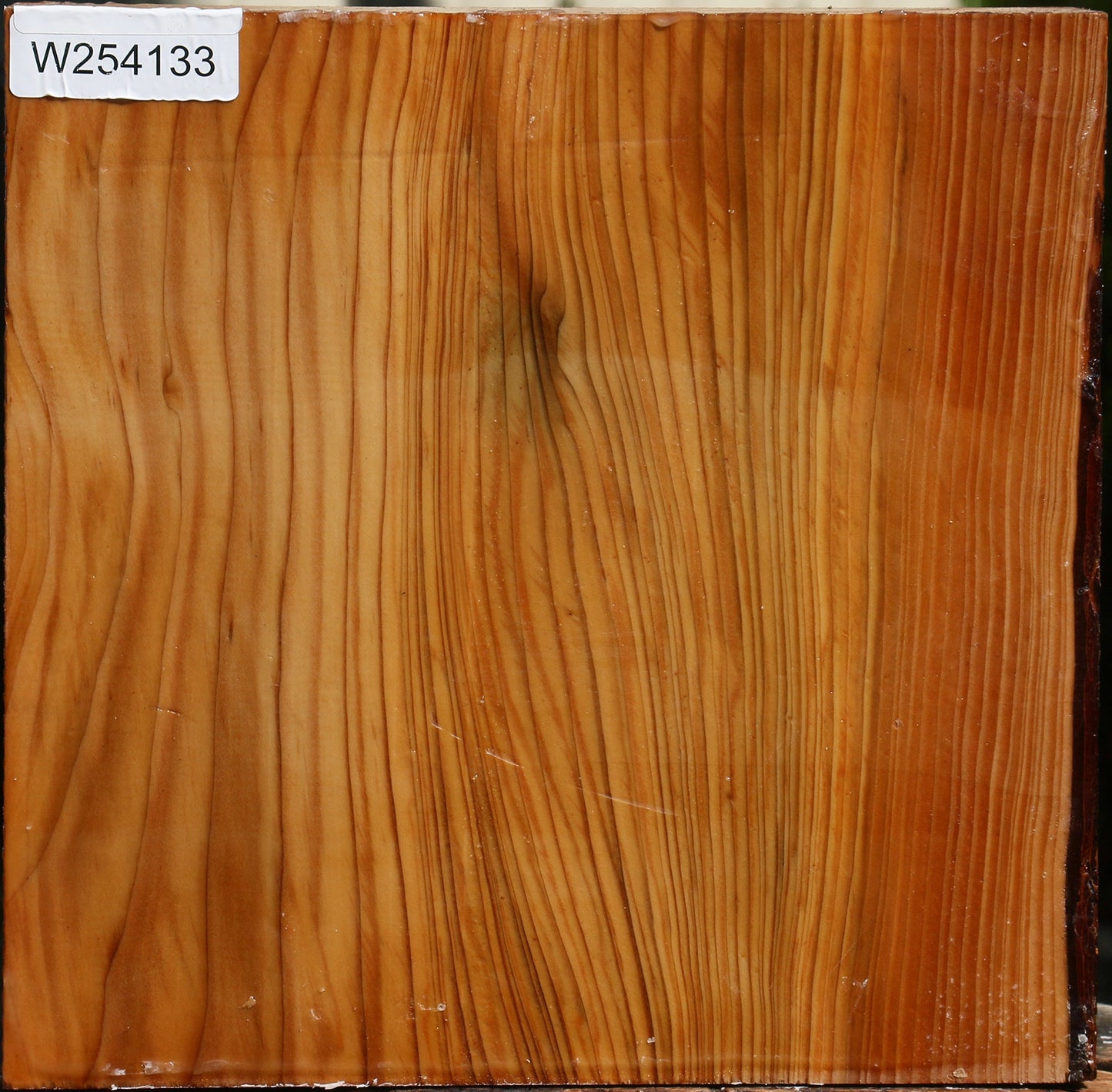 Cedar Of Lebanon Bowl Blank