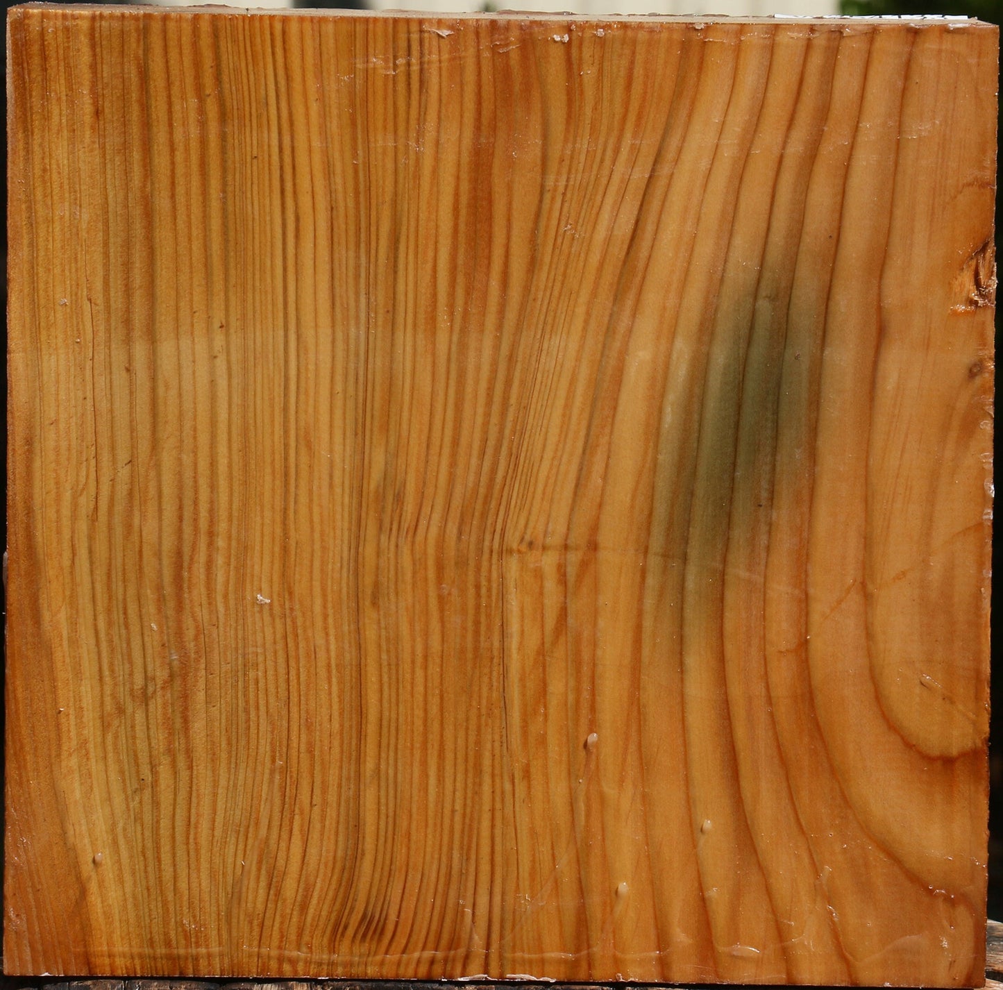 Cedar Of Lebanon Bowl Blank