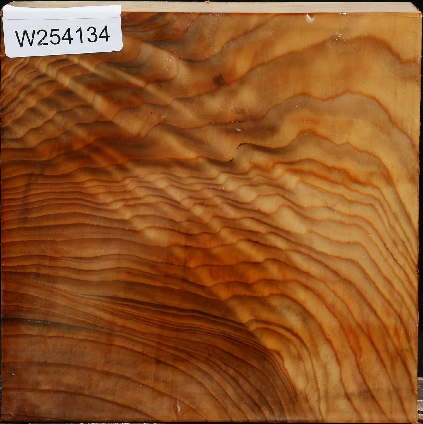 Extra Fancy Cedar Of Lebanon Bowl Blank