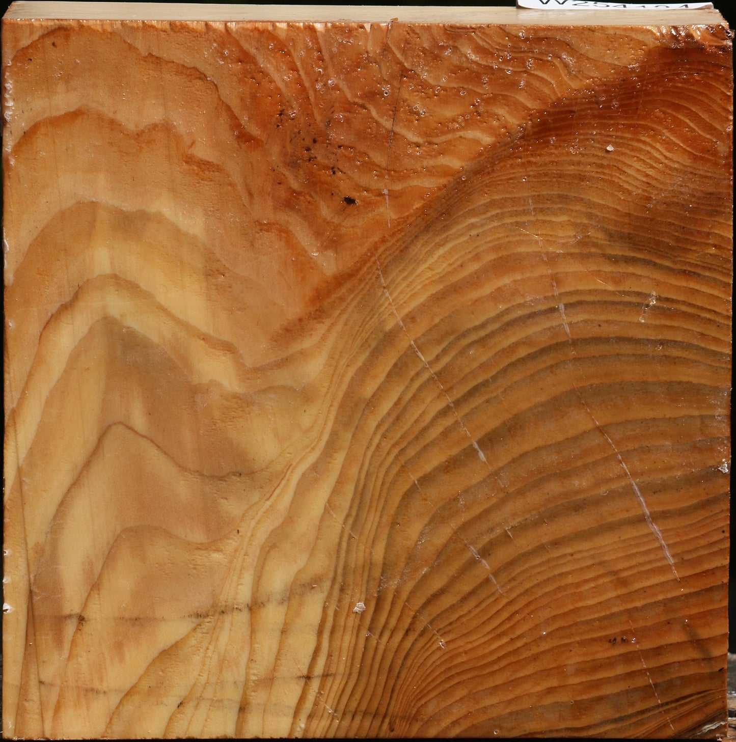 Extra Fancy Cedar Of Lebanon Bowl Blank