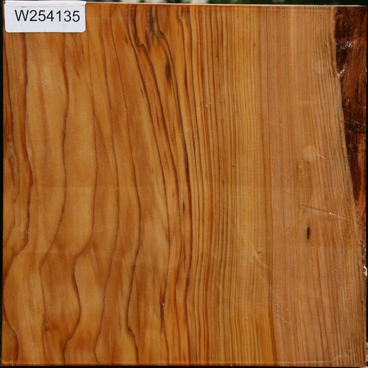 Cedar Of Lebanon Bowl Blank