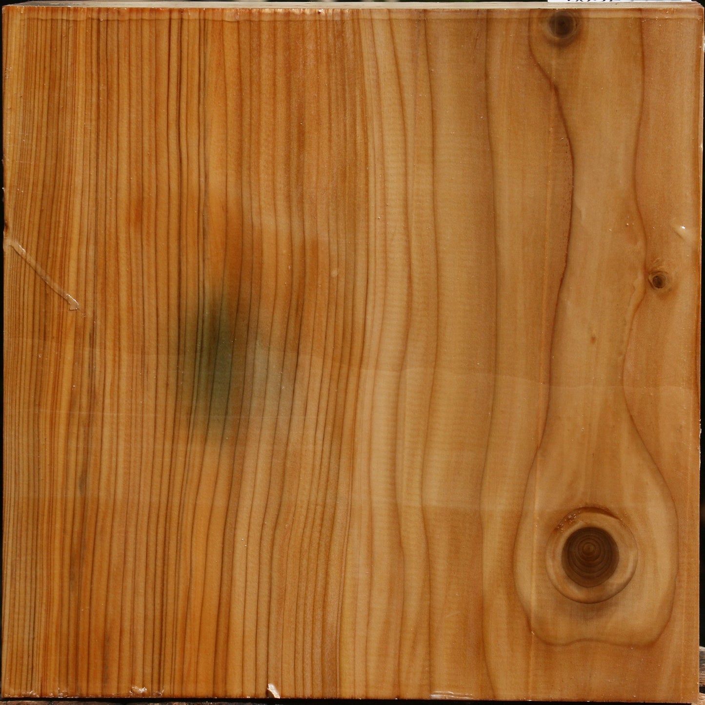 Cedar Of Lebanon Bowl Blank