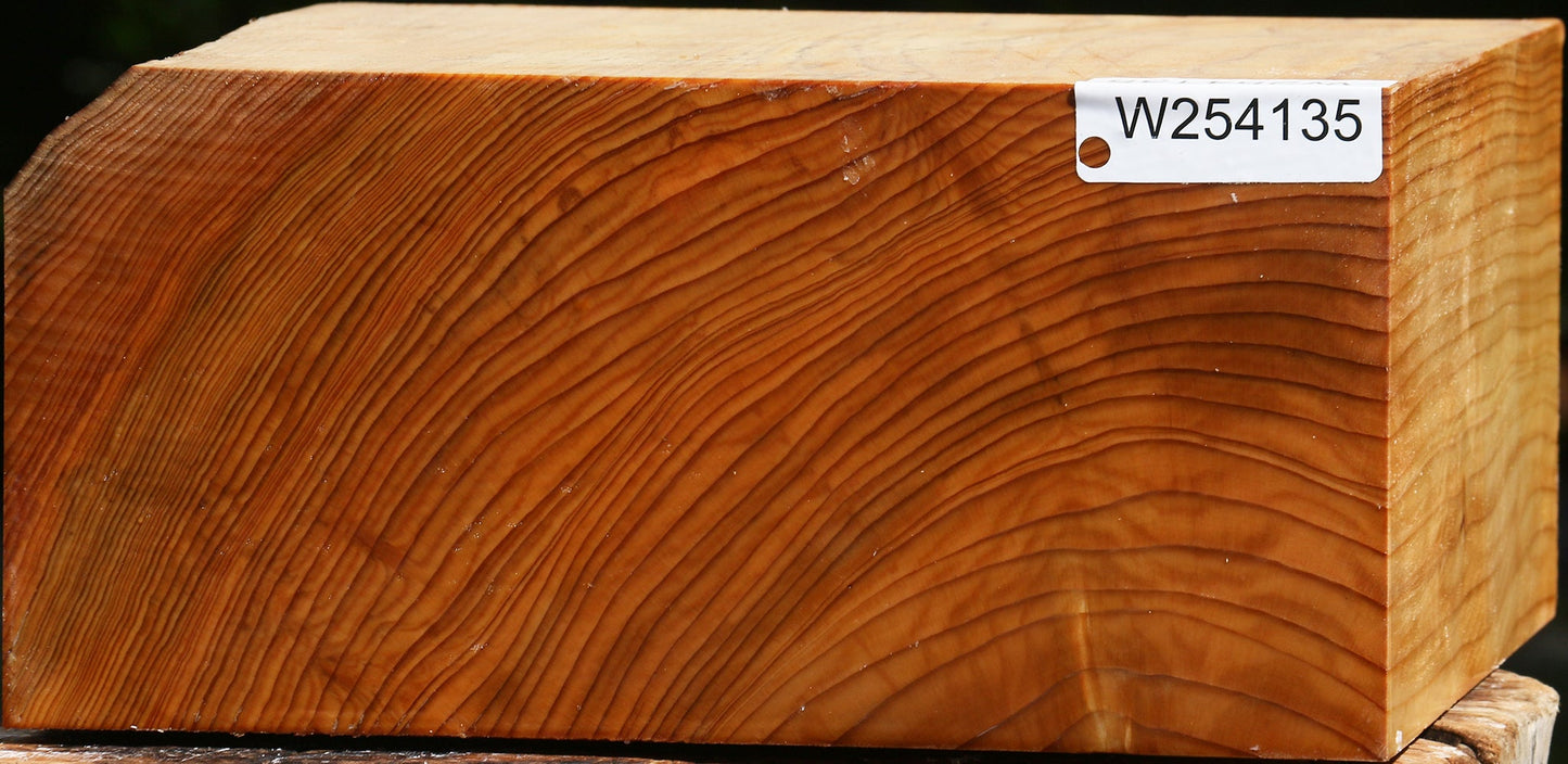 Cedar Of Lebanon Bowl Blank