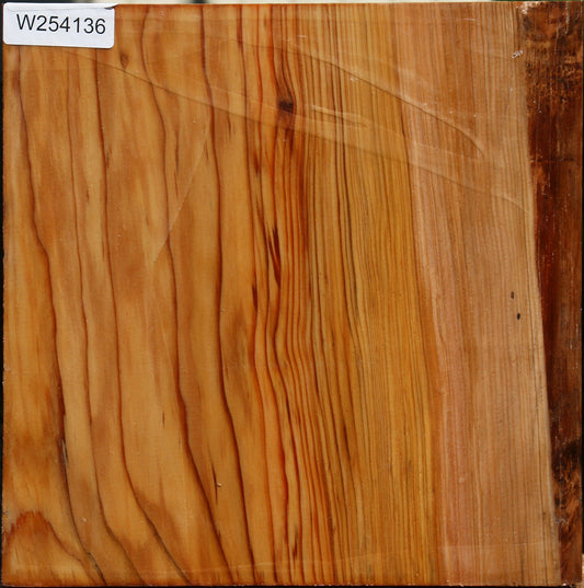Cedar Of Lebanon Bowl Blank