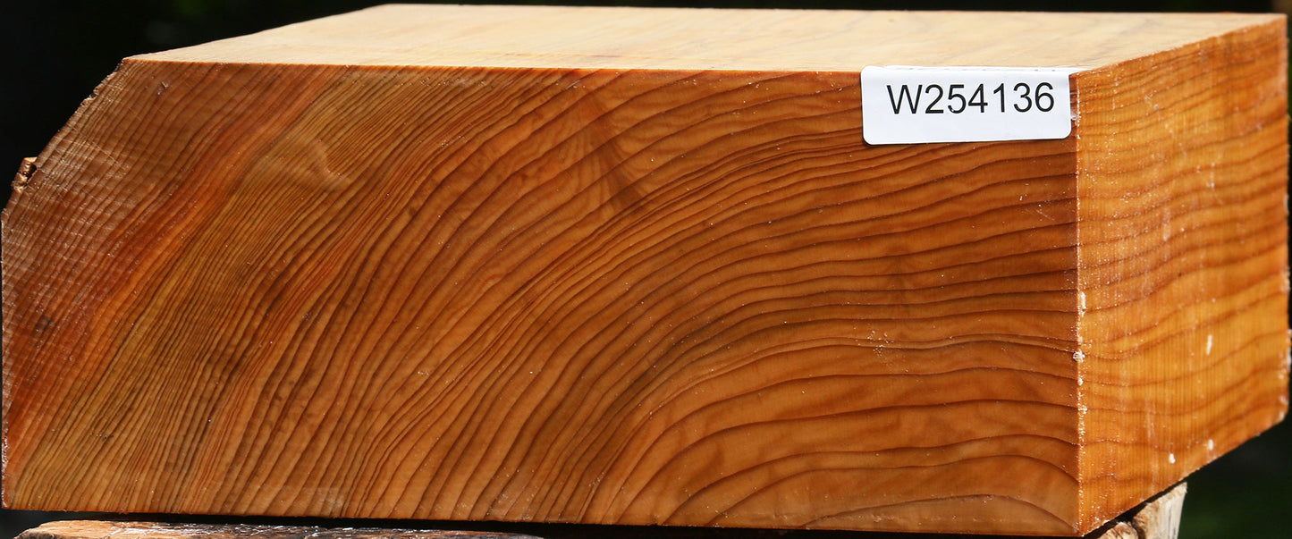 Cedar Of Lebanon Bowl Blank