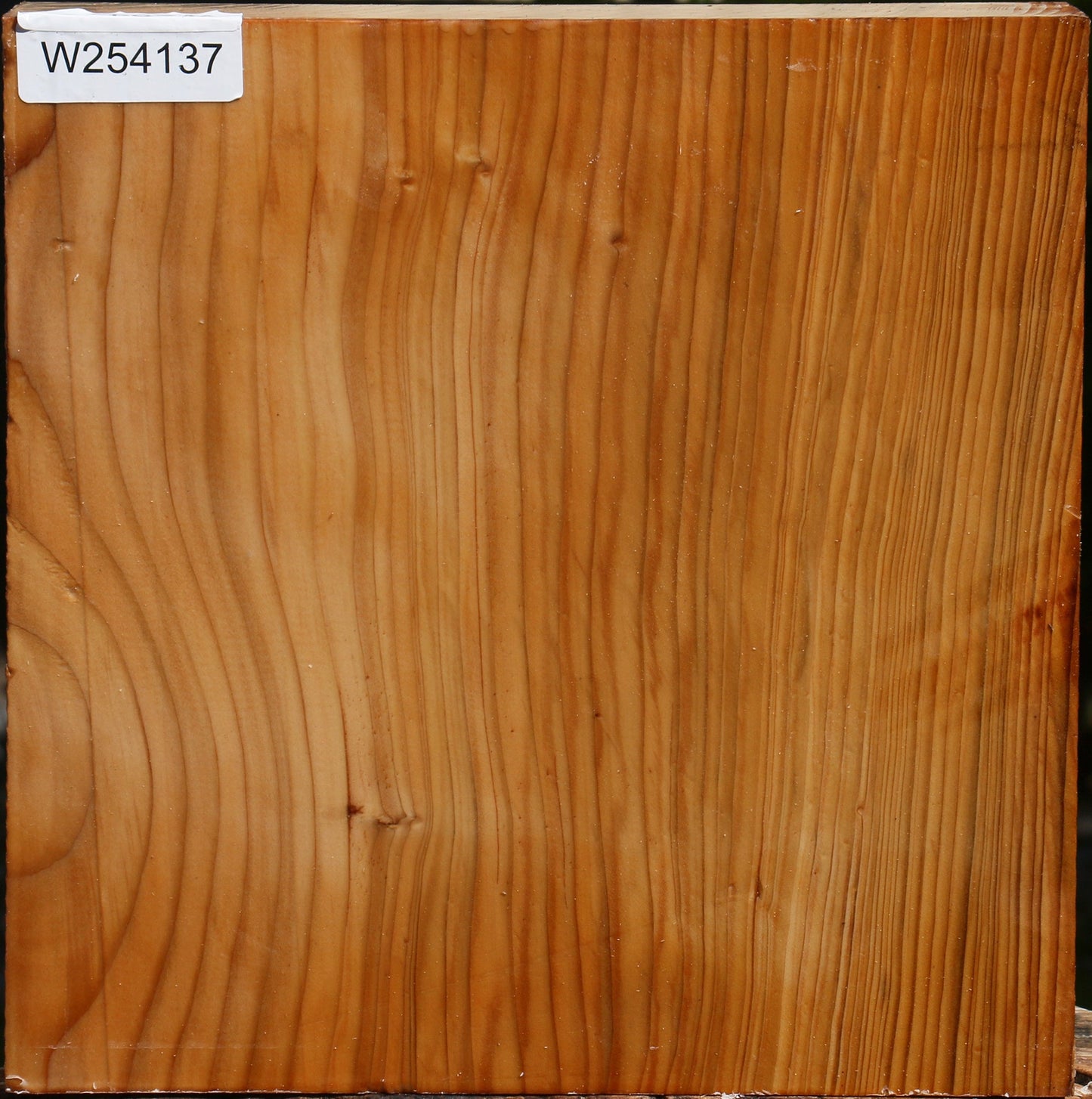 Cedar Of Lebanon Bowl Blank