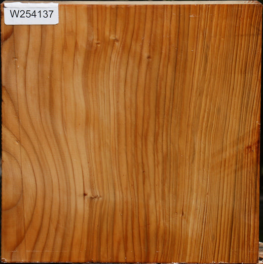 Cedar Of Lebanon Bowl Blank