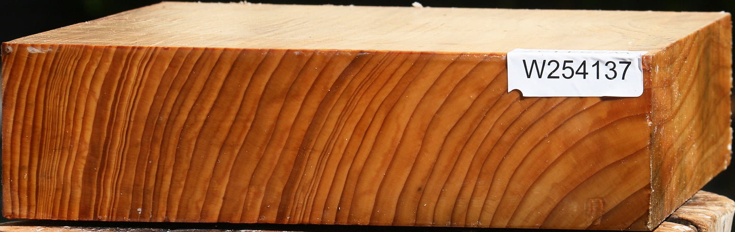 Cedar Of Lebanon Bowl Blank