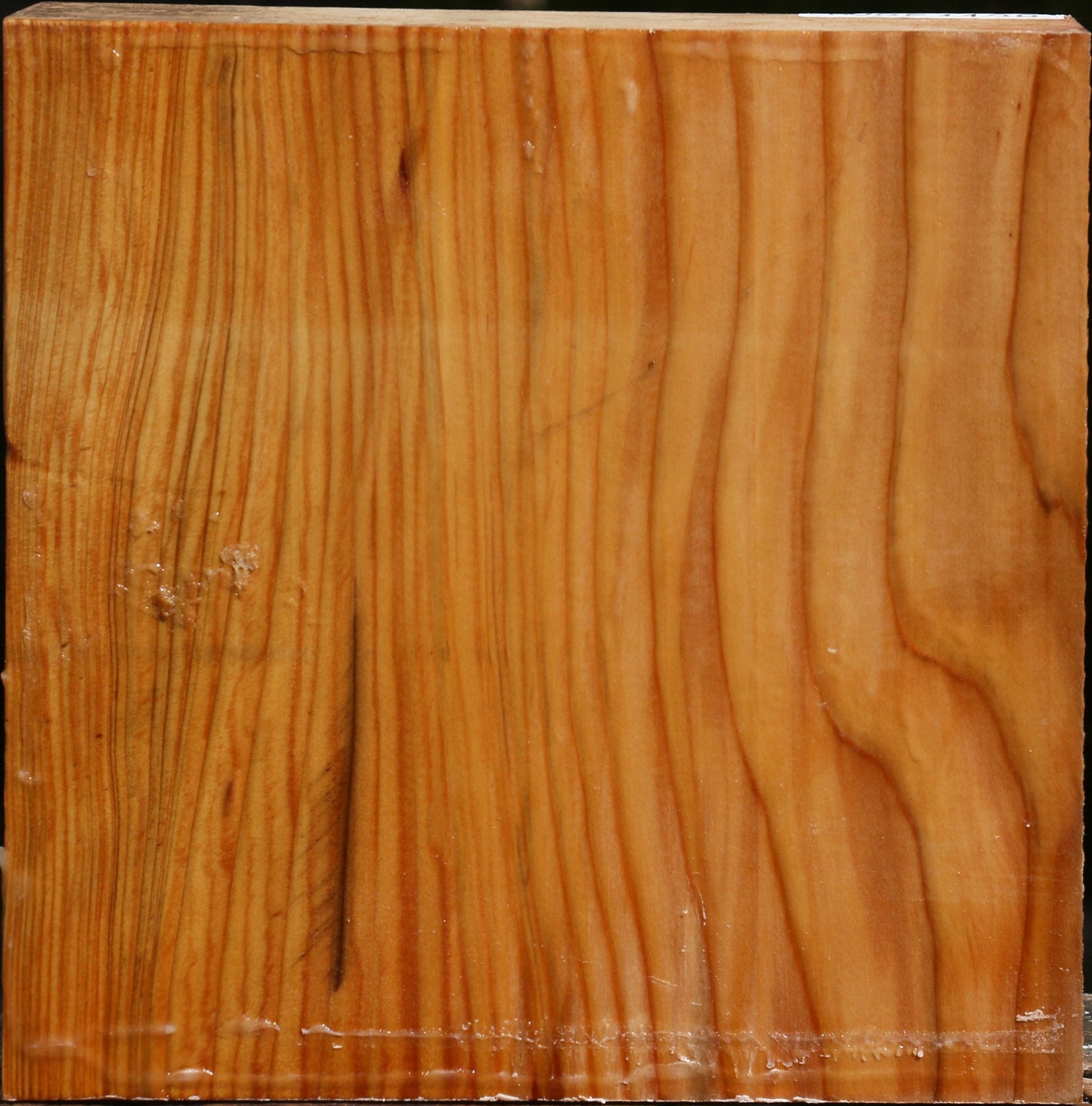 Cedar Of Lebanon Bowl Blank