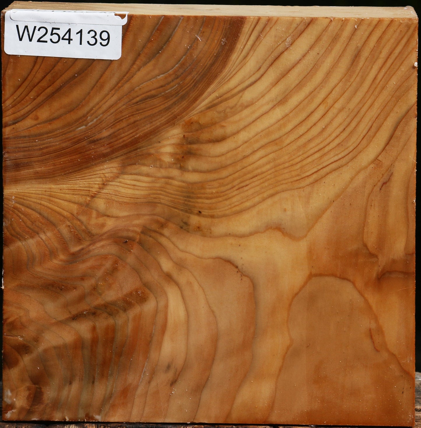 Figured Cedar Of Lebanon Bowl Blank