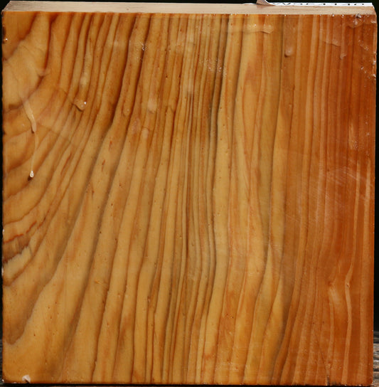 Cedar Of Lebanon Bowl Blank