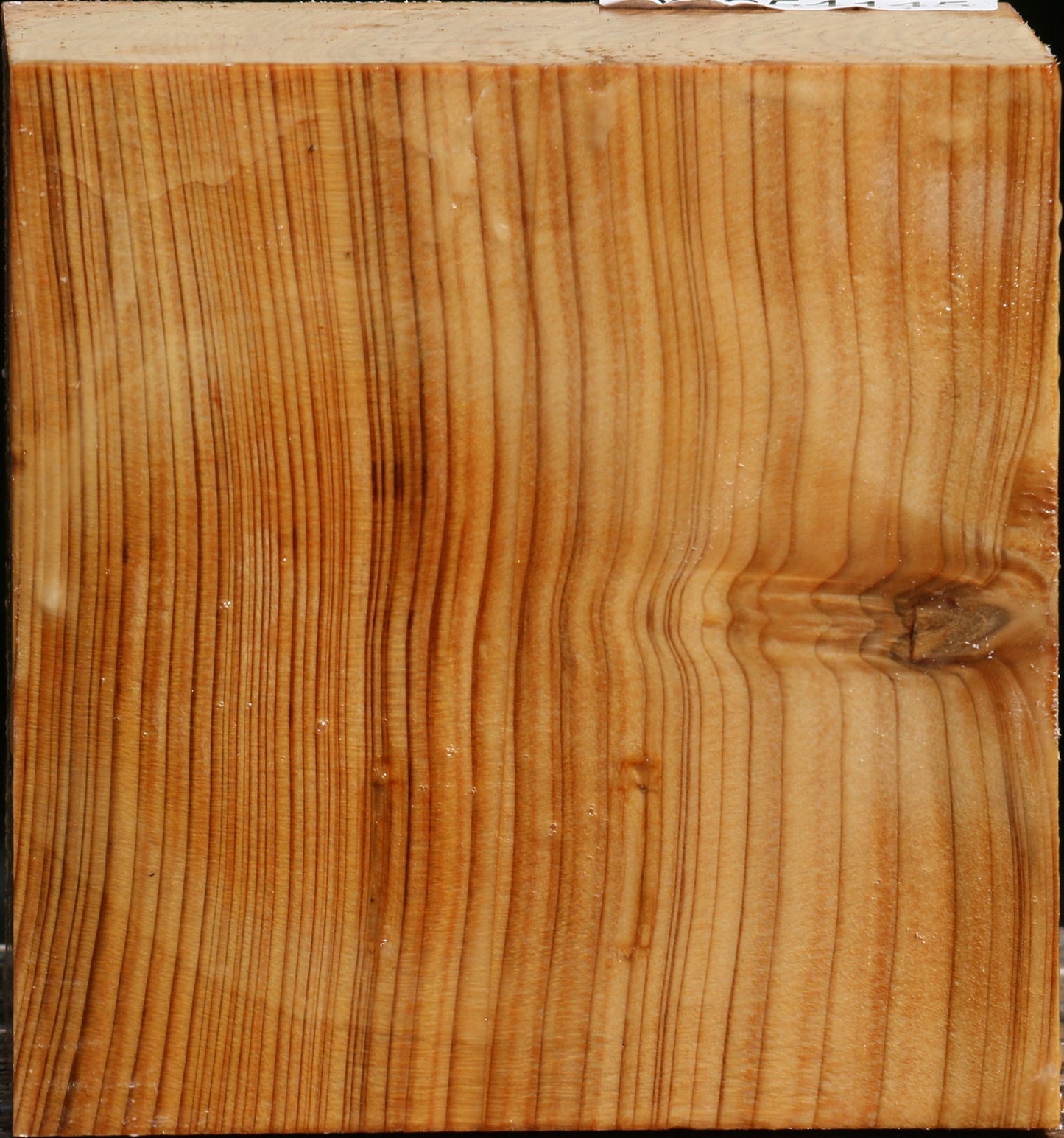 Quartersawn Cedar Of Lebanon Bowl Blank