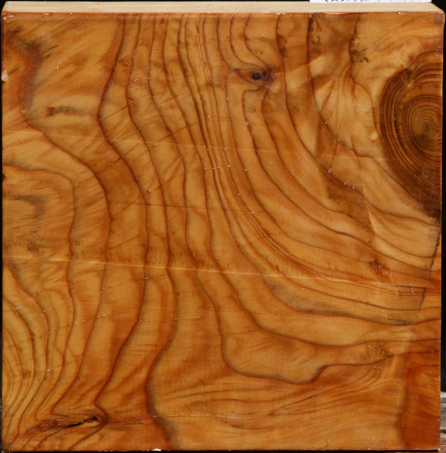 Extra Fancy Cedar Of Lebanon Bowl Blank