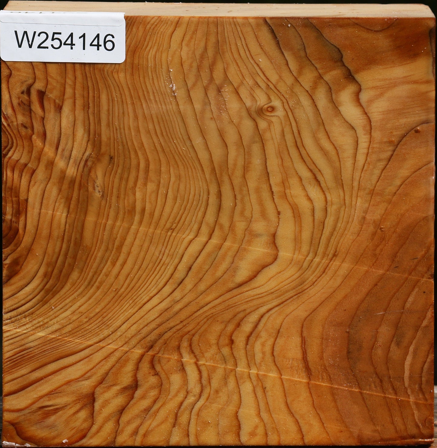 Extra Fancy Cedar Of Lebanon Bowl Blank