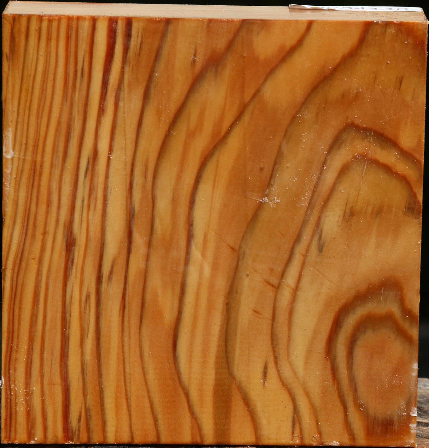 Cedar Of Lebanon Bowl Blank
