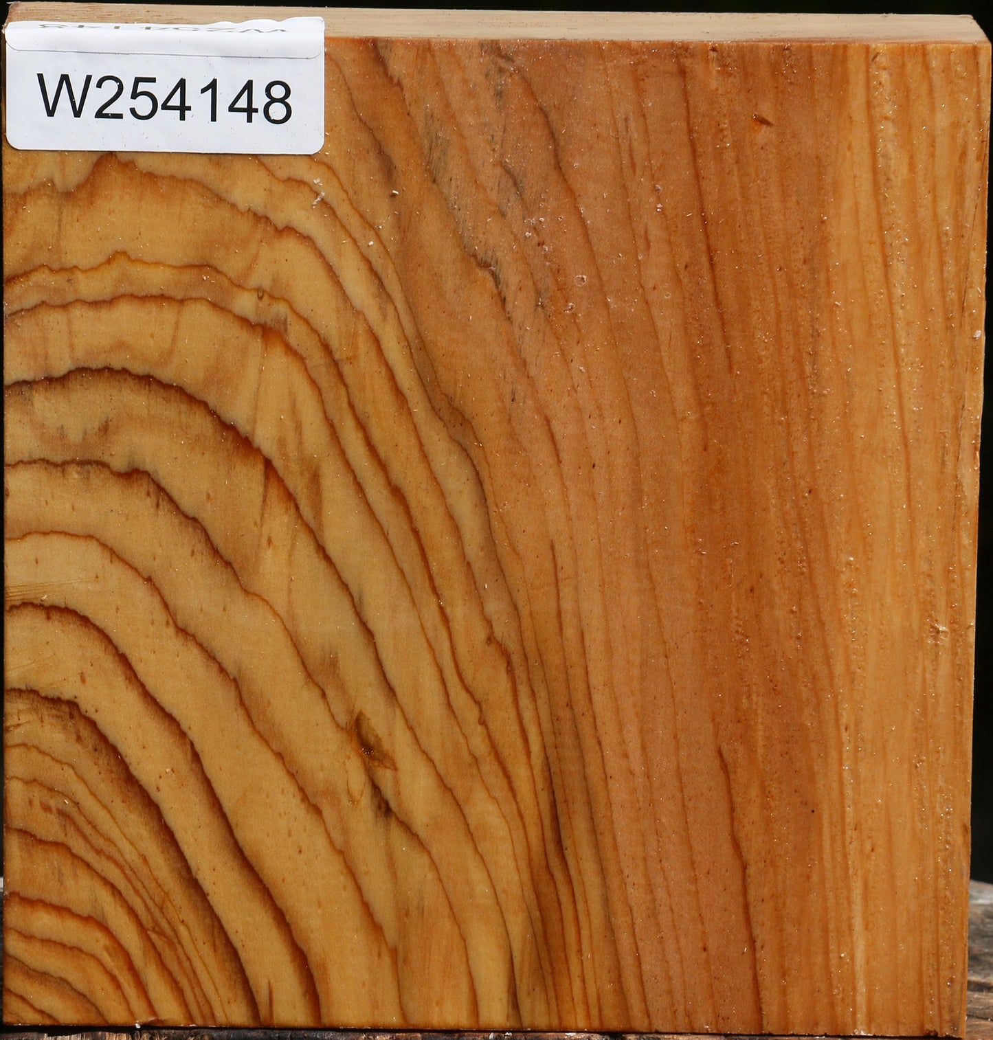 Cedar Of Lebanon Bowl Blank